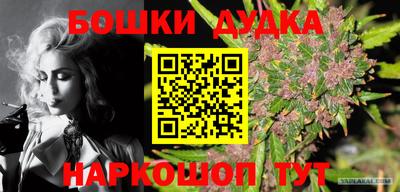 стафф Ставрополь