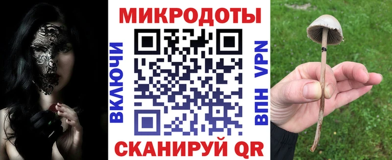 Галлюциногенные грибы прущие грибы Рассказово