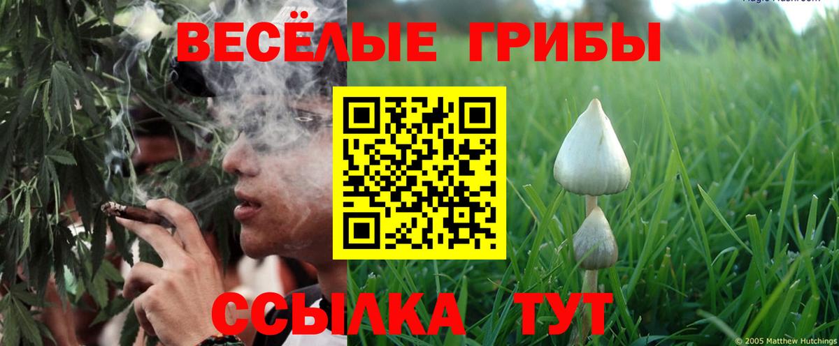 Псилоцибиновые грибы мухоморы  Галлюциногенные грибы Psilocybe  Вход с VPN  Рассказово 